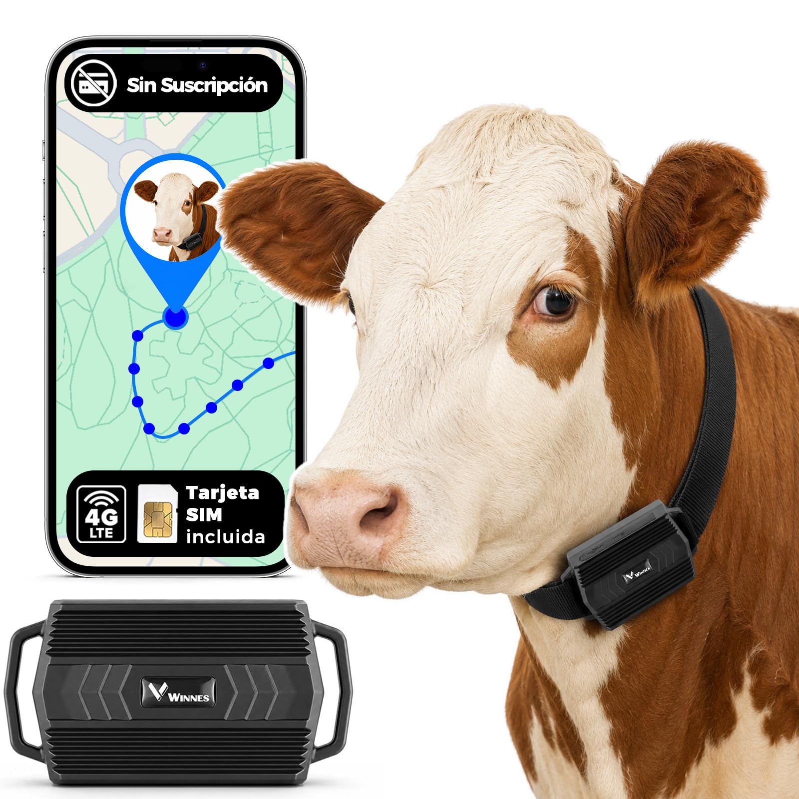 Localizador GPS para Collar de Ganado 4G con Collar Ajustable, Rastreador GPS para Animales IP66 Impermeable, Batería 3000 mAh, Geovalla, App/Web, Rutas 180 Días para Vacas, Ovejas y Perros de Caza