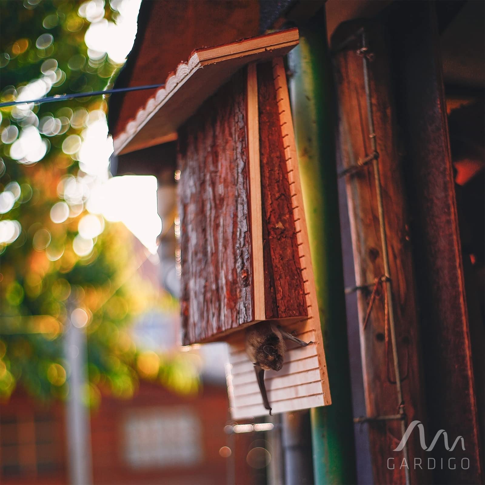 Gardigo Casa para Murciélagos; Refugio Colores de Madera Natura, Hotel Casitas Nido para Murciélago