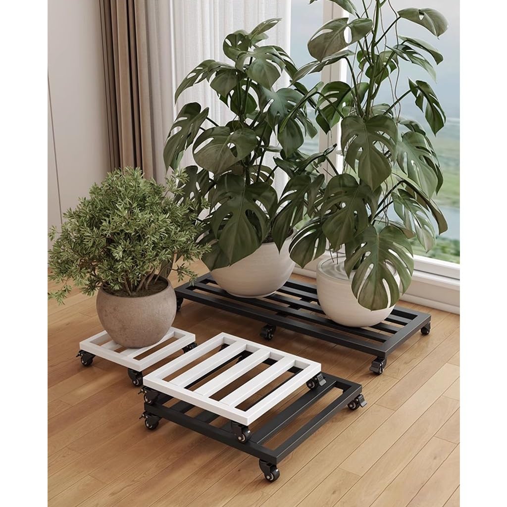 Bandeja rodante para plantas con soportes metálicos desmontables para macetas y acuarios, base de hierro EasyMove, color blanco, 40 x 40 cm, accesorio de jardín ideal para uso doméstico y exterior.