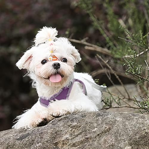 Miniatura 90 de AIITLE Arnés Escalonado para Perro y Juego de Correa - Chaleco Arnés a Prueba de Escape Sin Tirones con Malla Suave y Bandas Reflectantes, Arneses