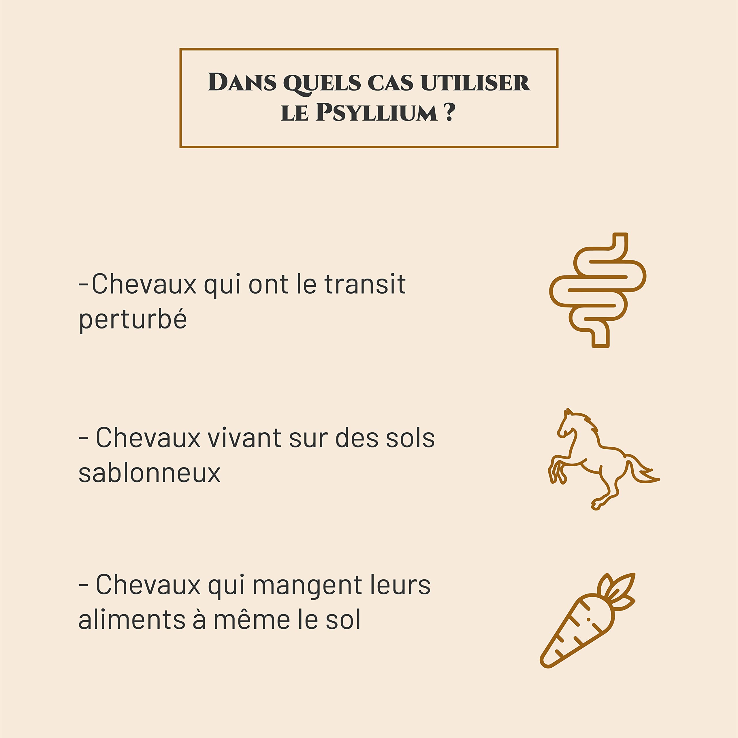 PSYLLIUM BLOND - Complément nutritionnel Cheval - Sachet 300 g - Apport en fibres - Aide à réguler le transit intestinal - Marque Française