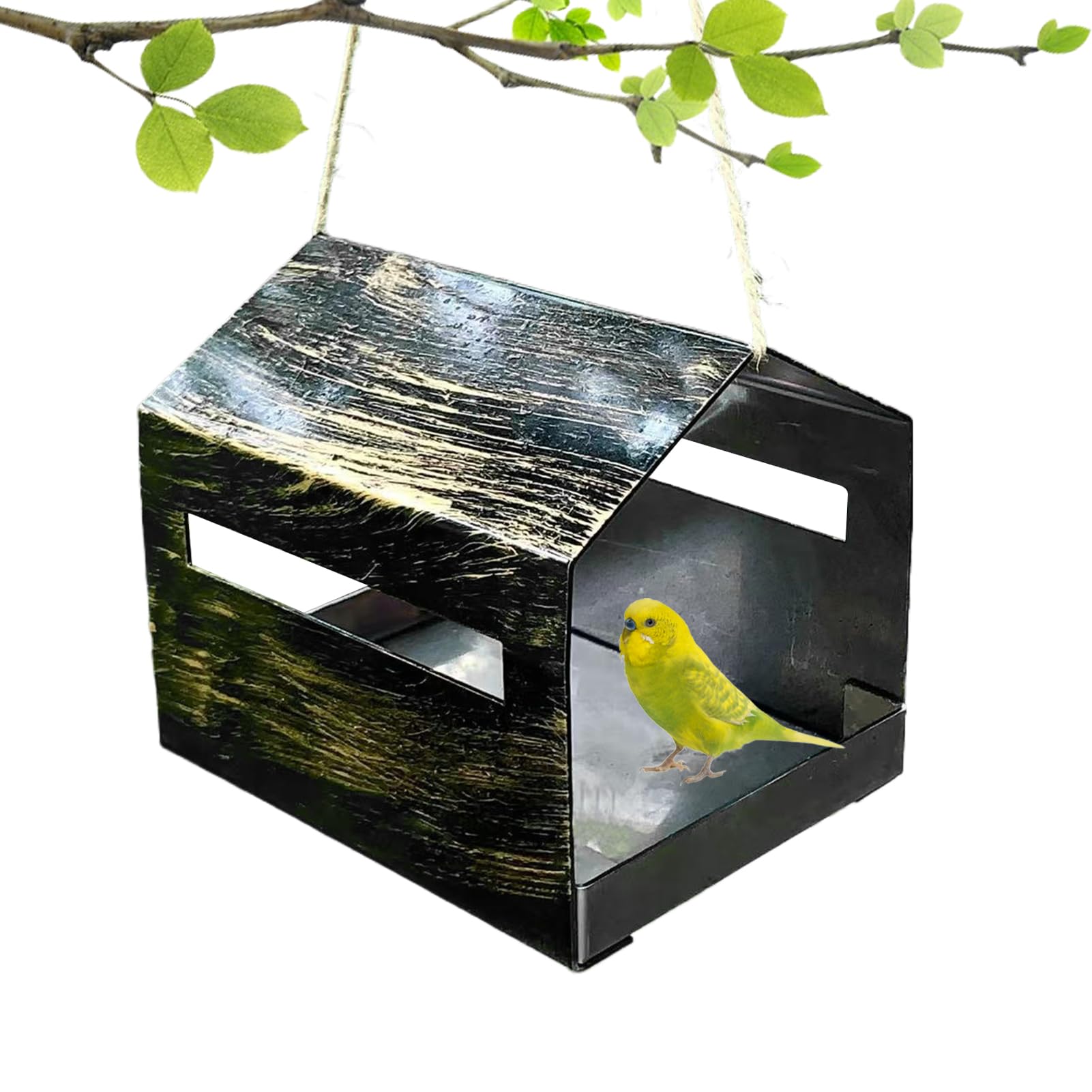 Mangeoire pour balcon et jardin pour observer la vie sauvage