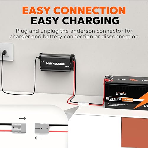 Miniatura 2 de LiTime Cargador de batería de litio de 14.6 V 40 A montado para batería de litio LiFePO4 de 12 V con indicador LED e interruptor de