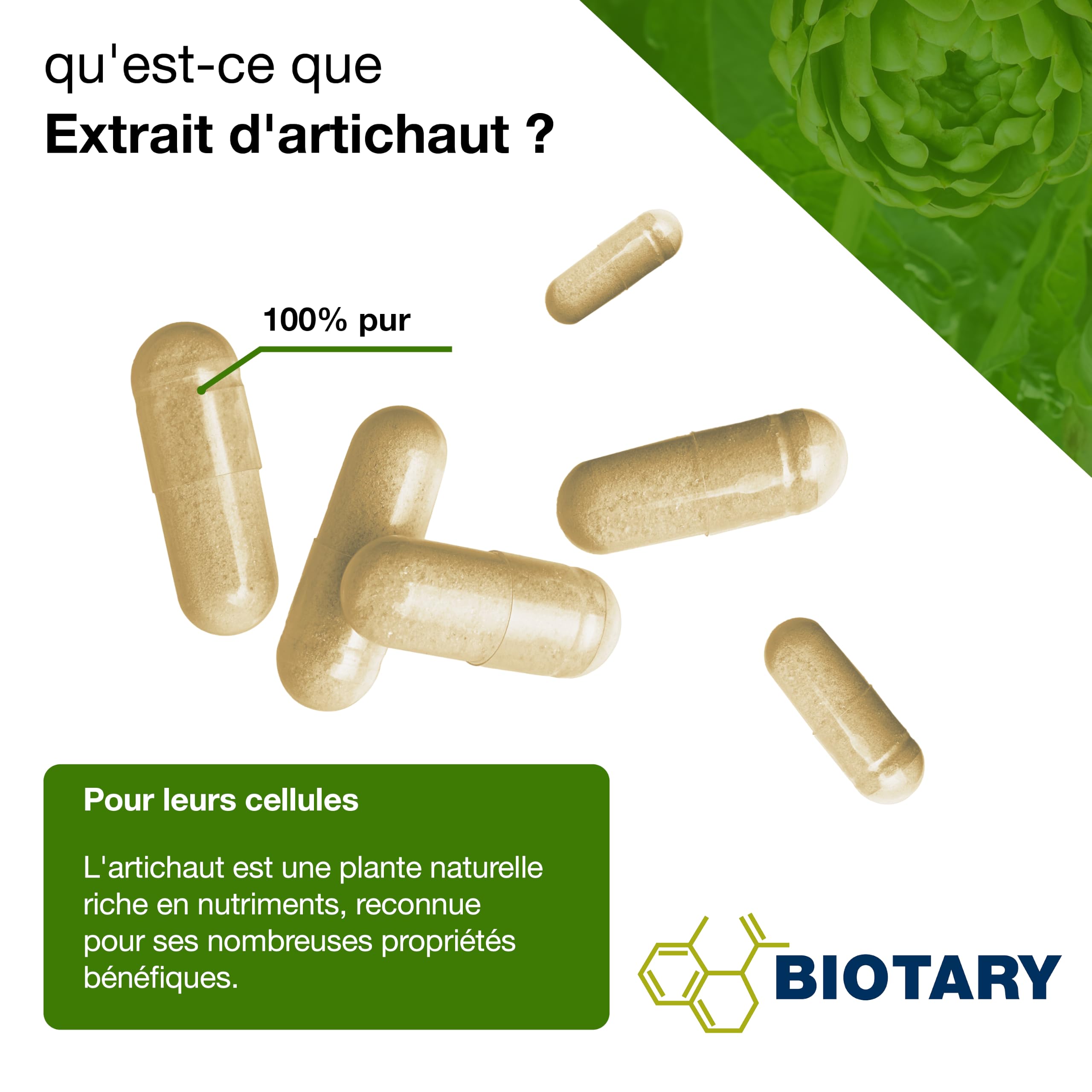 Extrait d’artichaut 365 gélules 2400 mg 30:1 120 mg cynarine 100% végan | Dose journalière équivalant à 72 000 mg d’artichaut avec pilulier inclus réserve de 3 mois qualité contrôlée