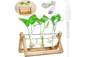 Heart Shape Glass Vase with Wooden Stand and LED Lights