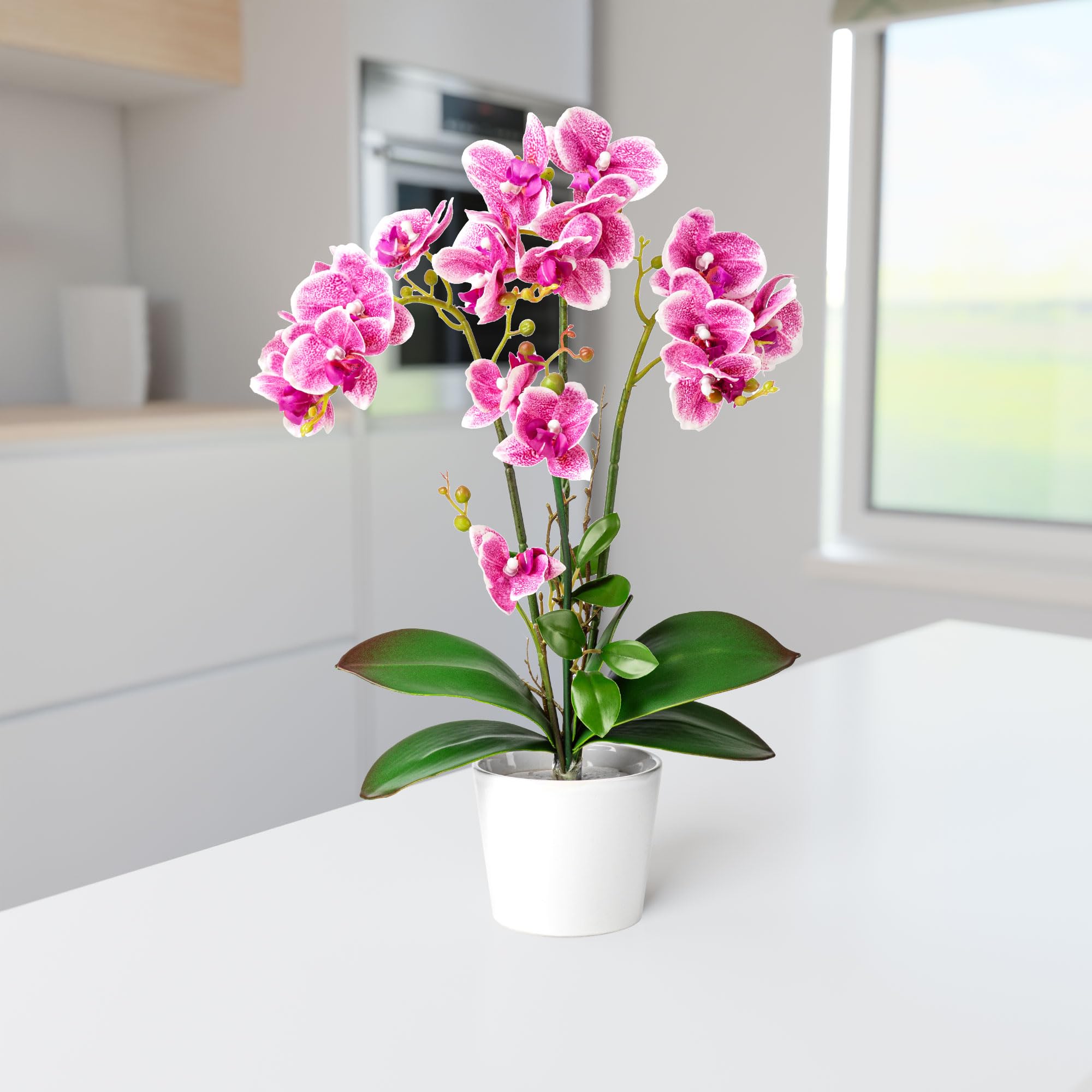 PASCH® Orchidee artificiali in vasi di ceramica lucida (46 cm), fiori artificiali come reali, fiori artificiali in vaso (bianco-rosa)