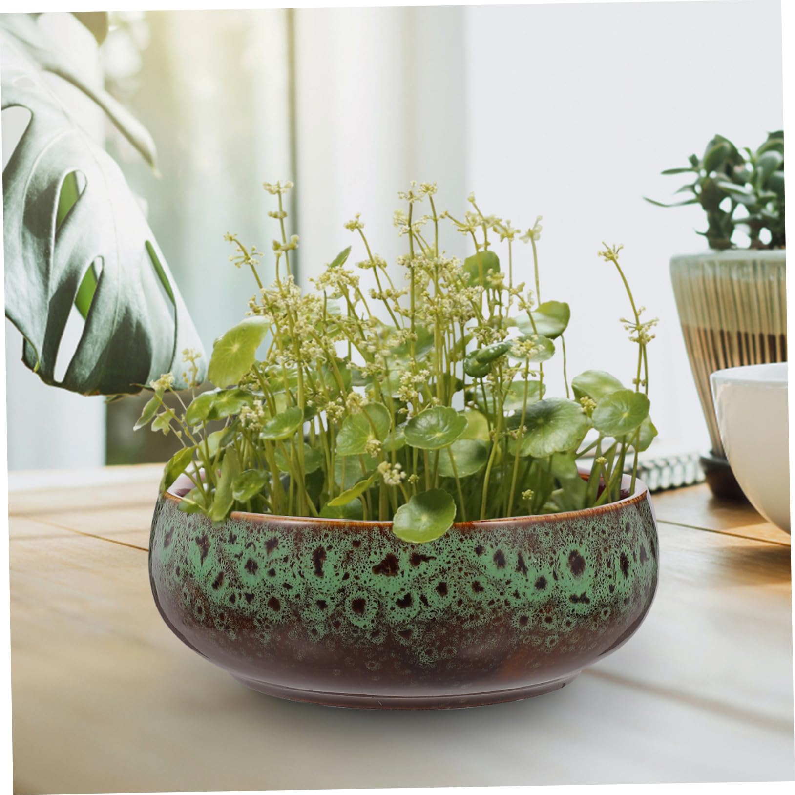GANAZONO Pot de Fleurs en Céramique Hydroponique sans Trou pour Plantes D'intérieur, Jardinière Résistante Réservoir d'eau pour Balcon ou Jardin