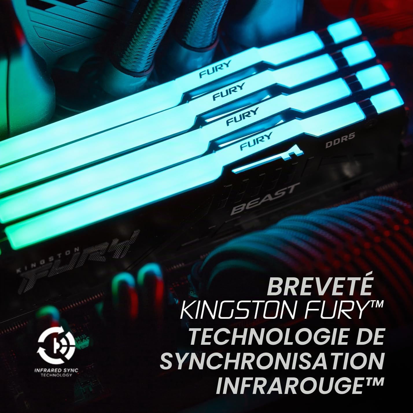 Kingston FURY Beast Noir RGB 32Go (2x16Go) 6000MT/s DDR5 CL36 DIMM Mémoire pour PC de Gamer Kit de 2 AMD EXPO/ Intel XMP - KF560C36BBE2AK2-32