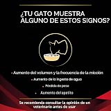 Ver la foto 3