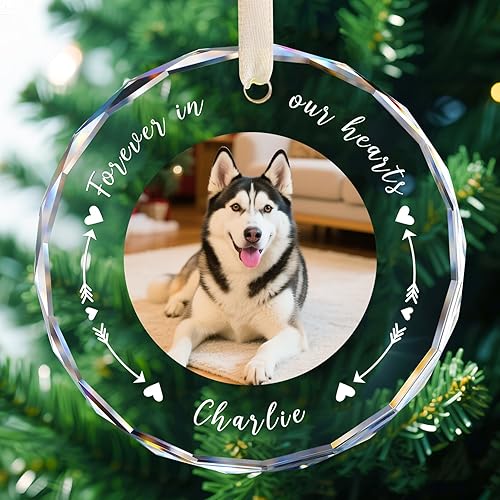 Custom Pet Memorial Gifts for Loss of Dog Cat, Personalized