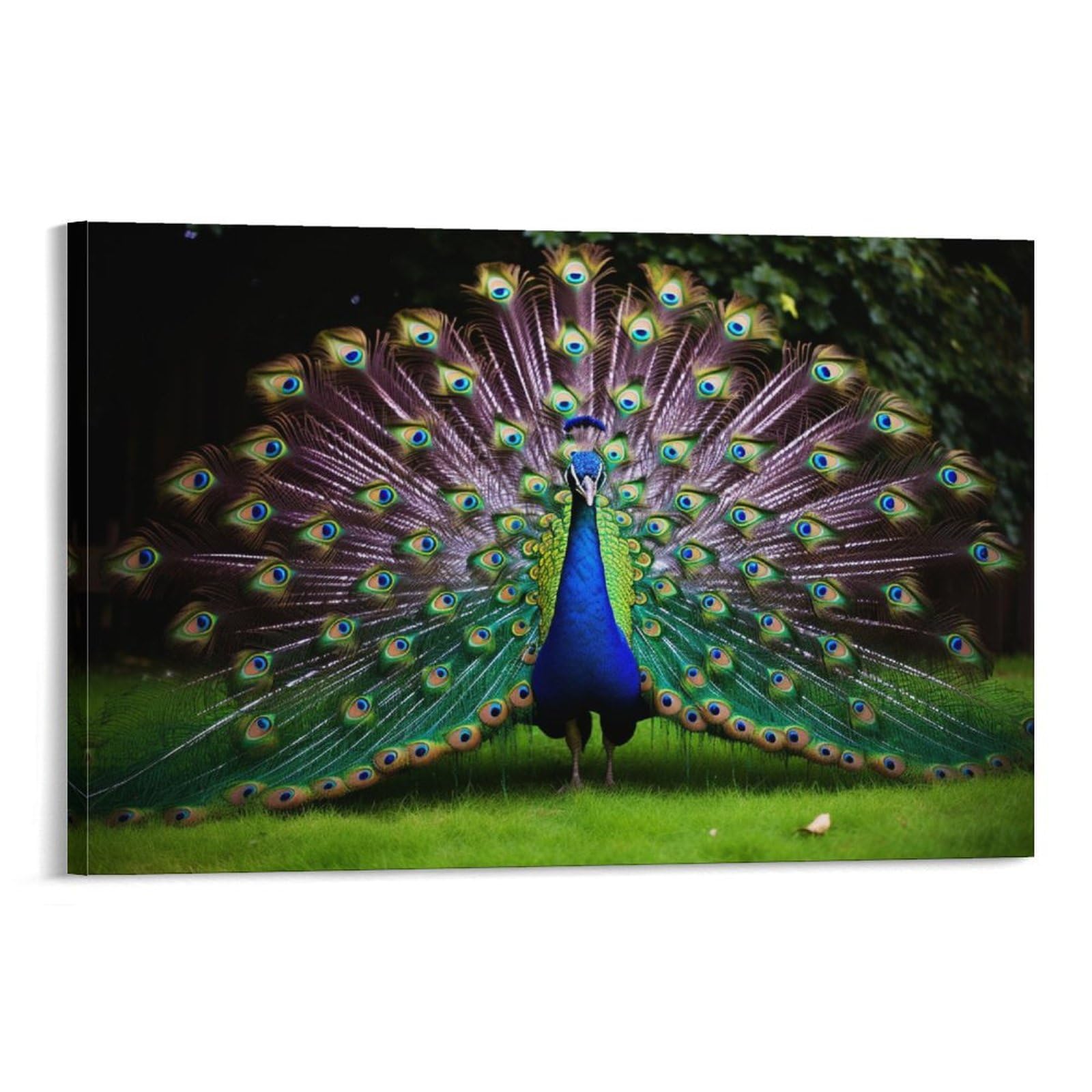Foccar Frame-Style-2 Gorgeous Peacock Canvas Wall Art Modern Peacock Opening Screen Posters Wall Decor Painting Art For Home Room Artwork