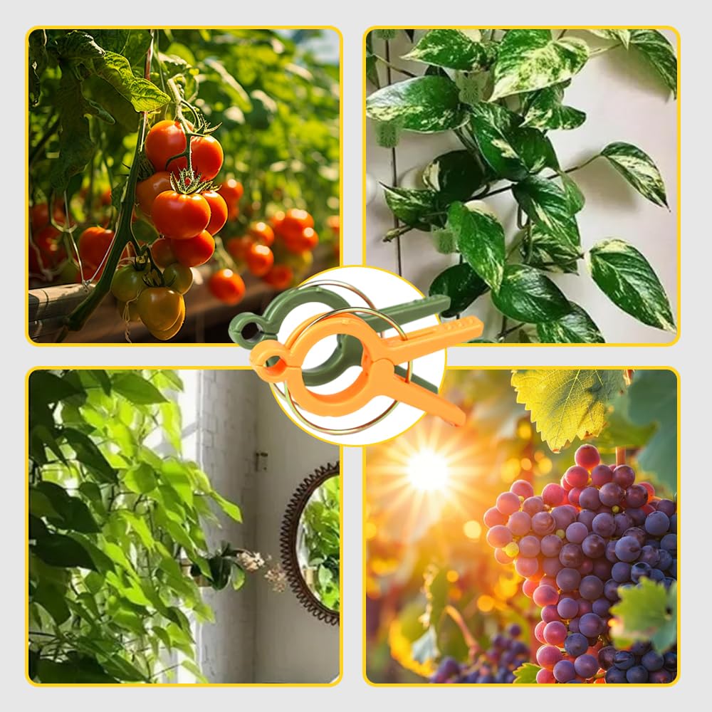 Pflanzenclips, 2025 Upgrade, Pflanzenstütz-Clips, wiederverwendbare Gartenclips, gesicherte Kunststoff-Pflanzenclips, Tomaten-Spalier-Clips, Pflanzenranken-Befestigungsclips für Kletterpflanzen