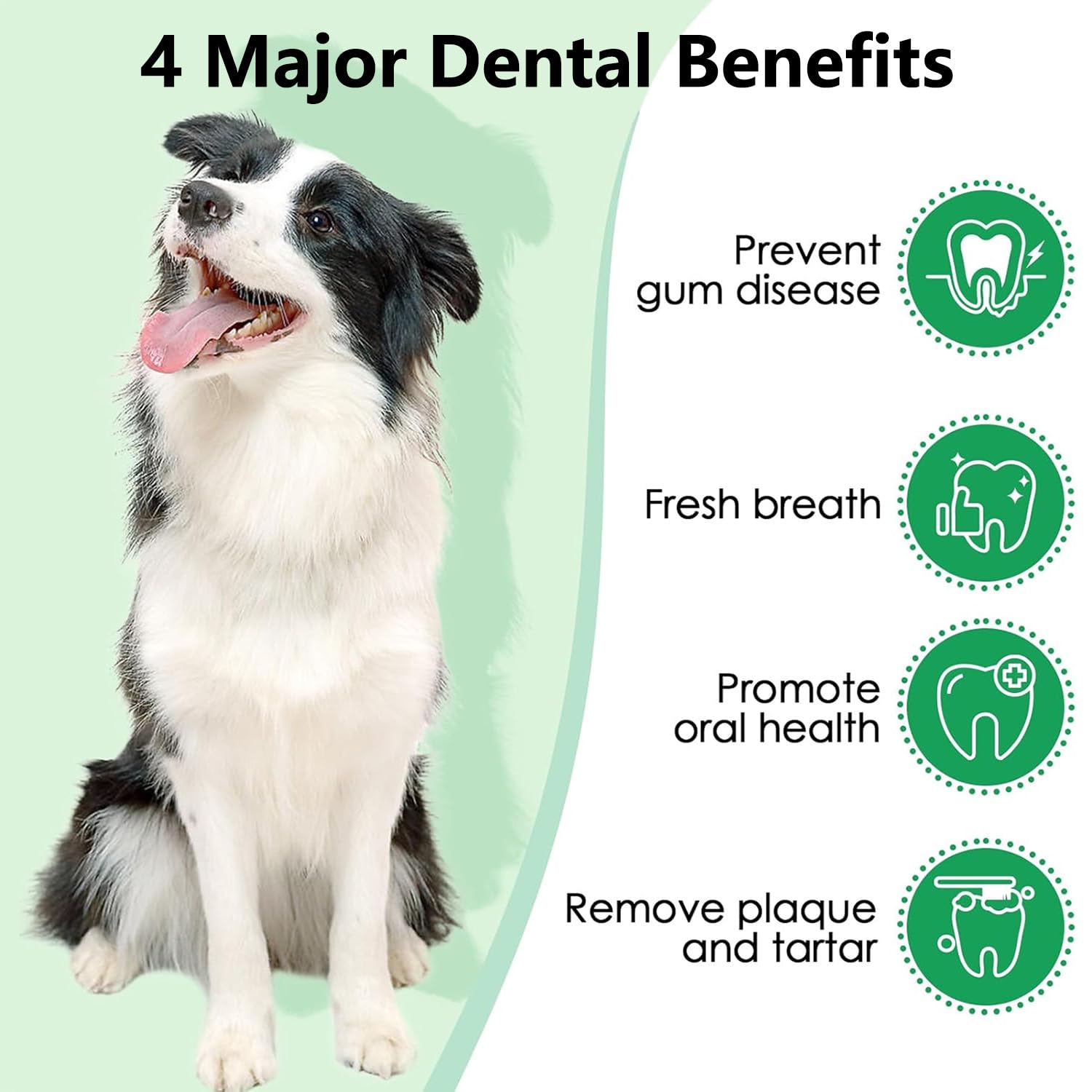Dog Dental Cleaning Powder 150 g, wysoce skuteczny w usuwaniu kamienia nazębnego i nieświeżego oddechu, hamujący powstawanie płytki nazębnej i odświeżający oddech, bezpieczny i skuteczny