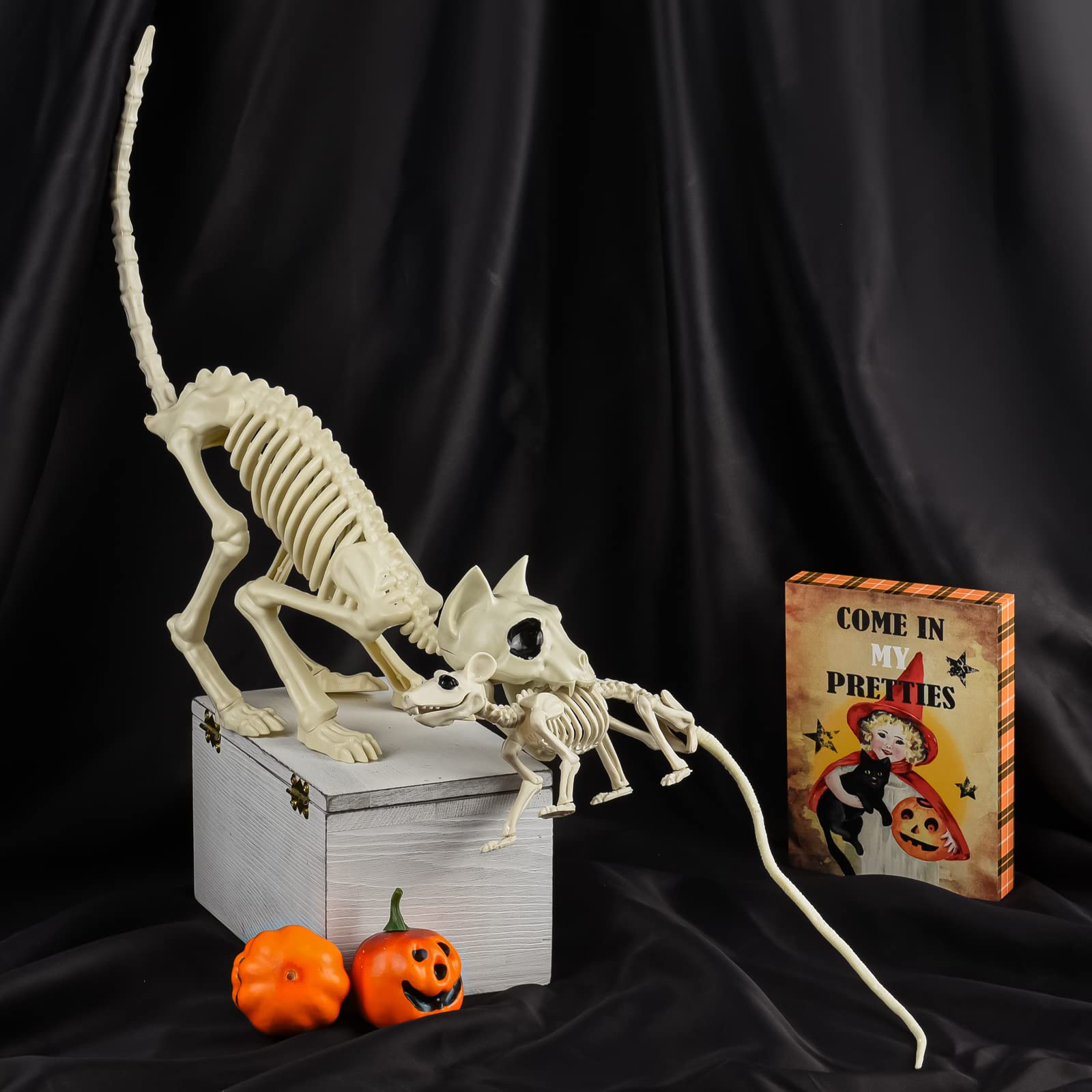 Décoration Squelette Chat Et Rat Pour Halloween - 35,5 Cm Et 30,5 Cm - Plastique Durable, Articulé - Pour Jardin, Maison, Fêtes Effrayantes