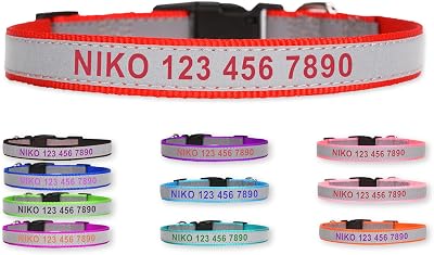 Reflective Personalized Nylon Dog Collar with Embroidered Name, Red