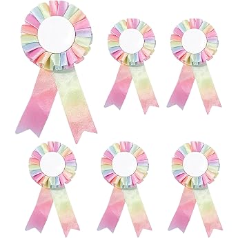Pack of 6 Rainbow Rosettes Badges Blank Award Ribbon Pink Winner prize ribbons honorable ribbon badge competition rosettes hobby horse tournament bows for children party