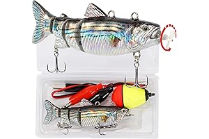 Robotic Electric Lures: Unparalleled Fishing Success