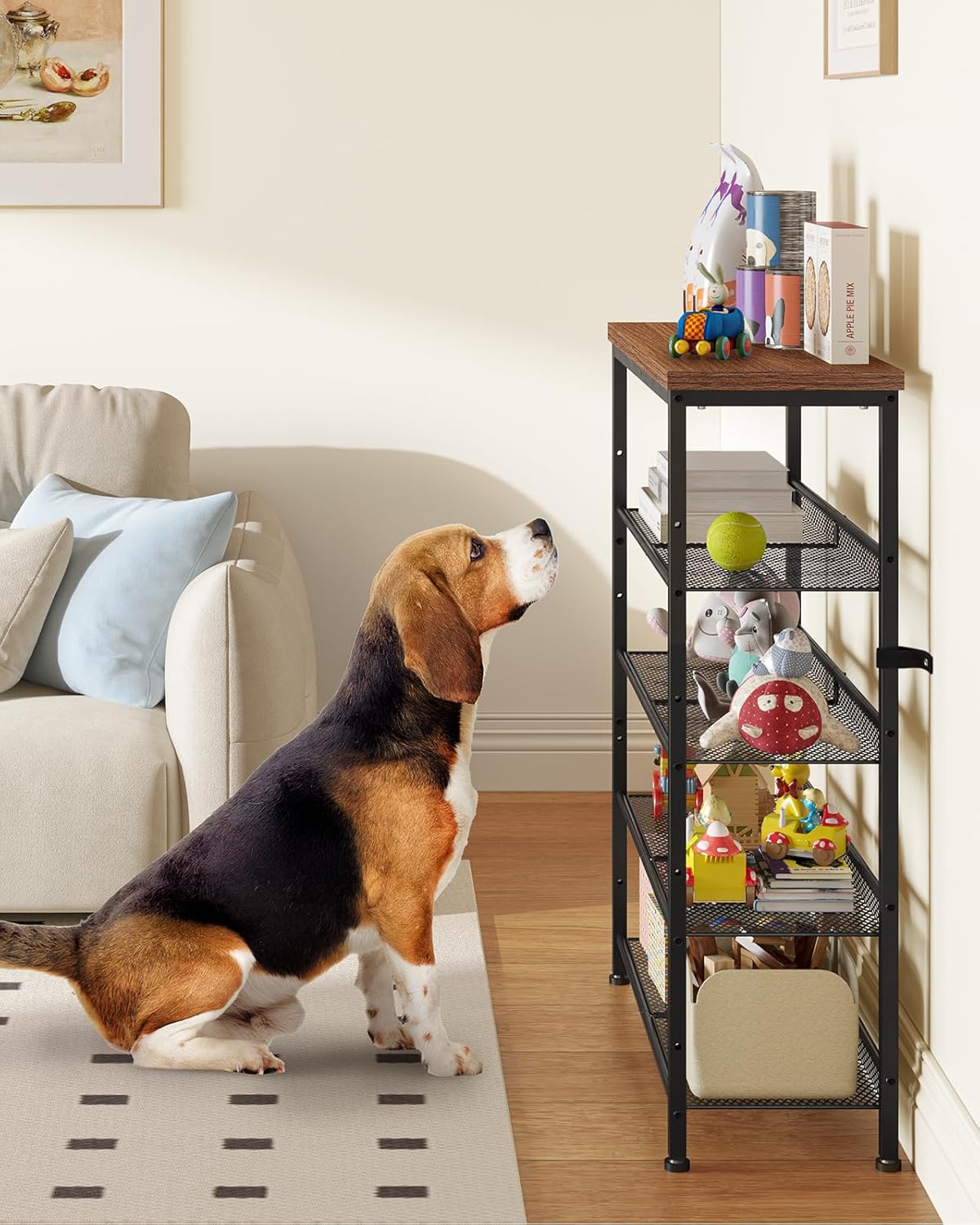 Shoe rack used for general storage in a living space