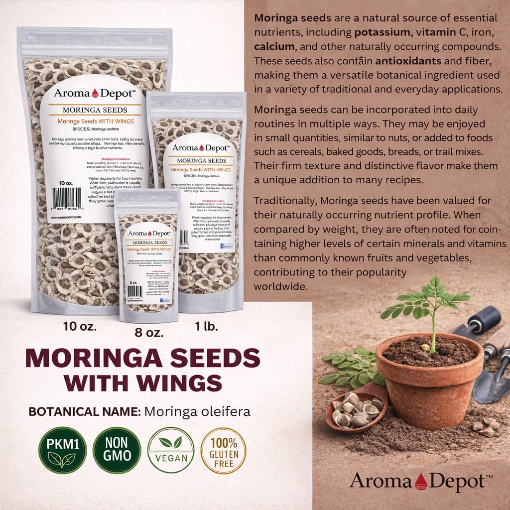 Moringa Seeds 1 lb Jar (Approx. 1500) With Wings Sun-Dried, PKM1, 100% Natural, Superfood, Nutritional, Rich in Vitamins Edible Seeds, Malunggay, Semillas De Moringa oleifera Seeds- Drumstick.