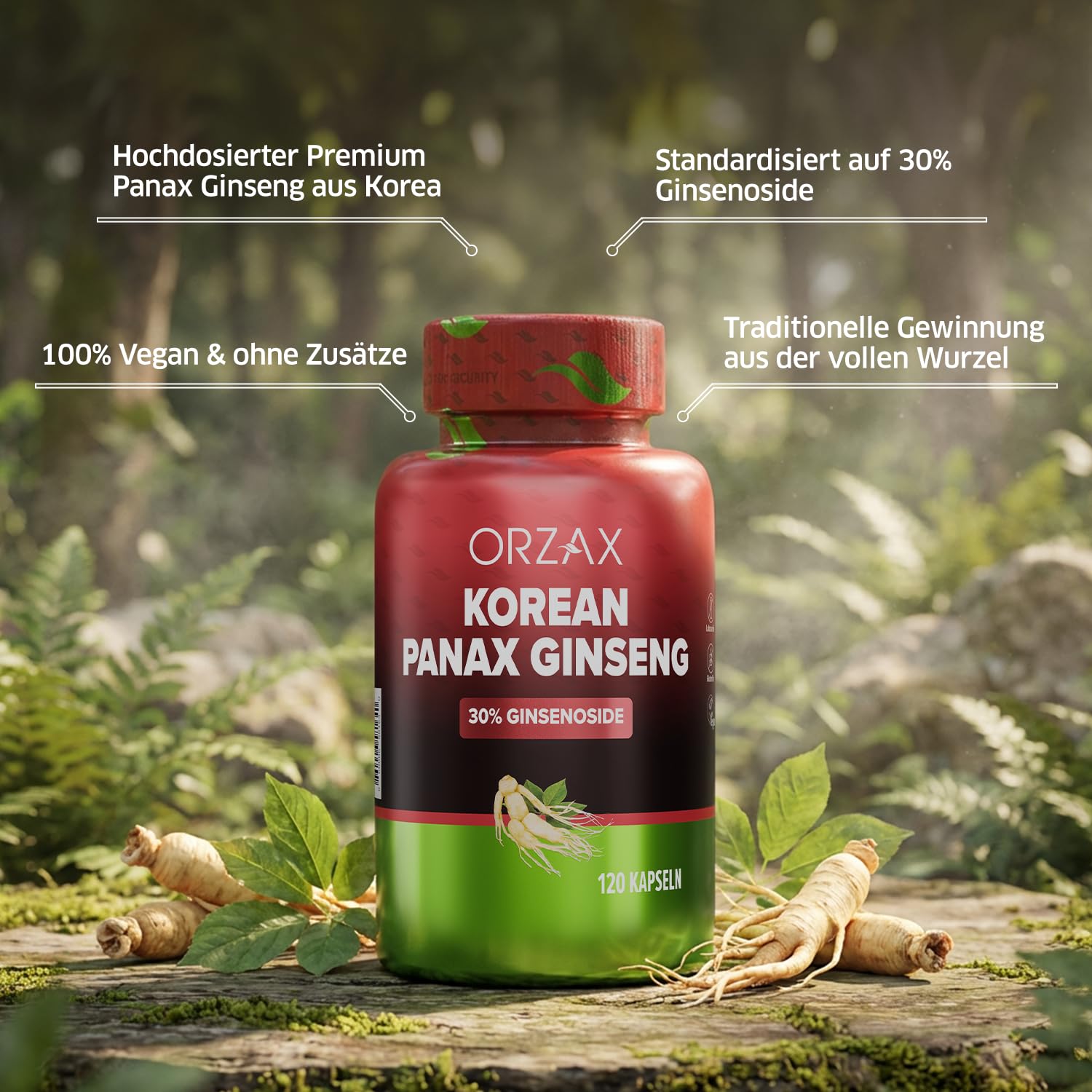 ORZAX Panax Ginseng C.A. Meyer – 1000mg Hochdosiert – 30% Ginsenoside – 120 Kapseln – Original Koreanischer Ginseng Wurzel-Extrakt – Vegan & Laborgeprüft
