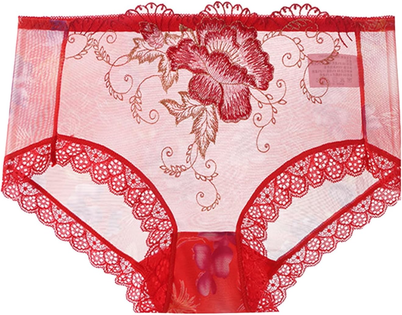 Womens Underwear Briefs Cheeky Mesh See Through Sheer Lace Lingerie Panties High Waisted Soft Comfort Underpants