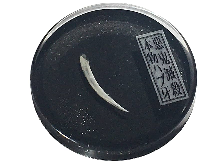 魔除け Amazon.co.jp: 本物ハブの牙 《Good Luck Pocket Token