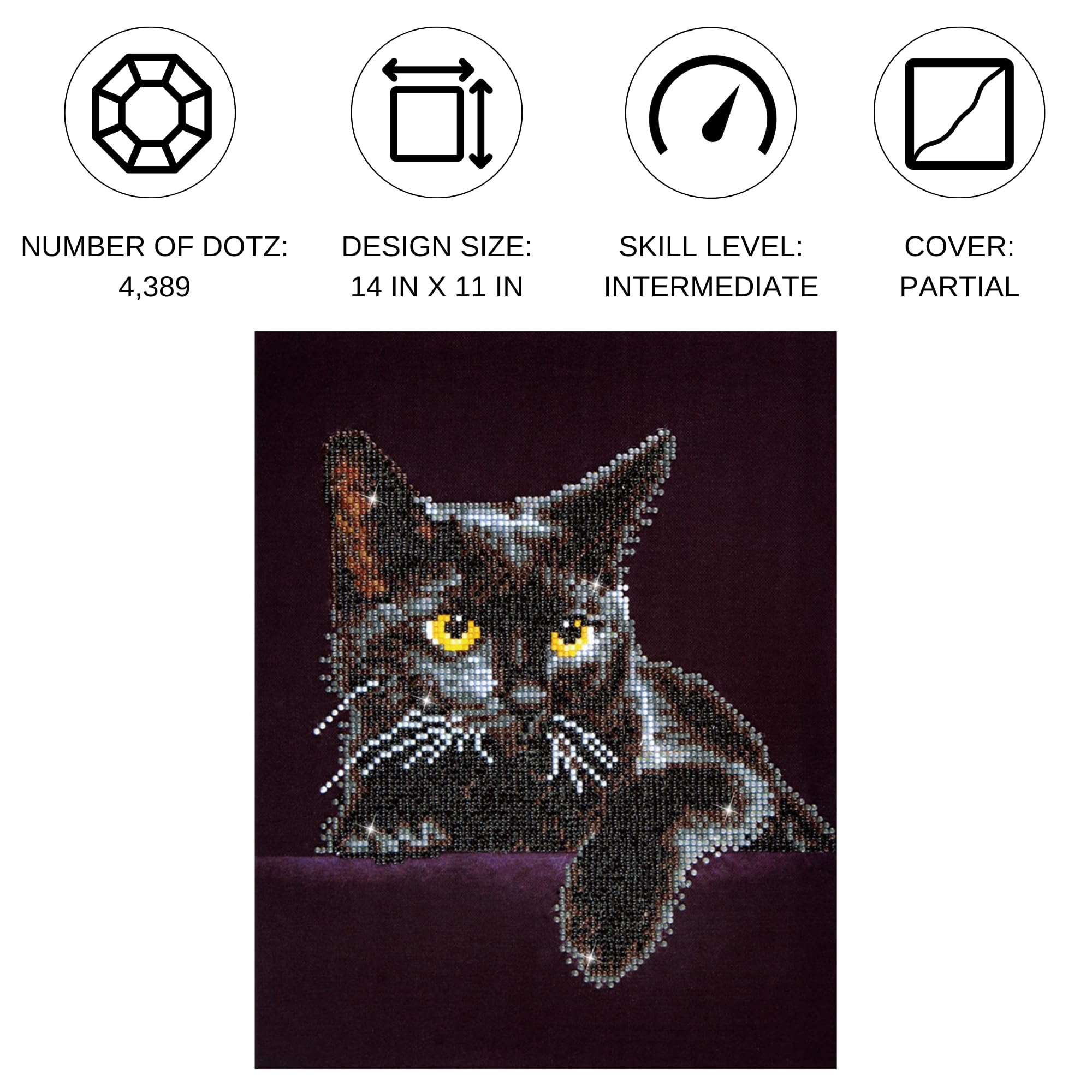 Amazon.com: DIAMOND DOTZ Midnight Cat Diamond Painting Kit
