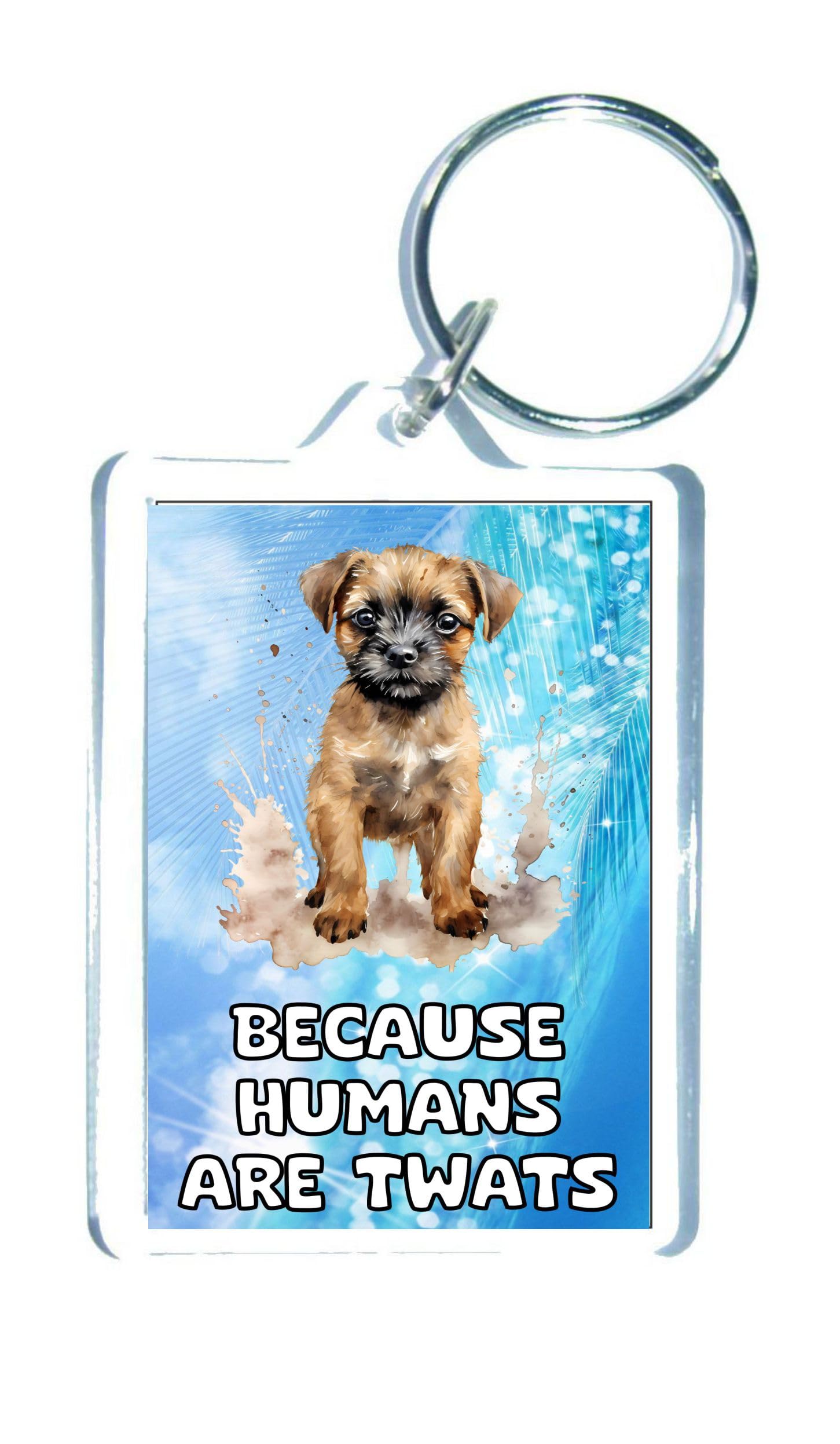 Decalarama Clear Border Terrier Keyring Gift – Because Humans Are Twats – Cute Novelty Fun Family Animal Present