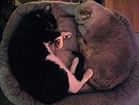 Review Image by Book lover Book lover