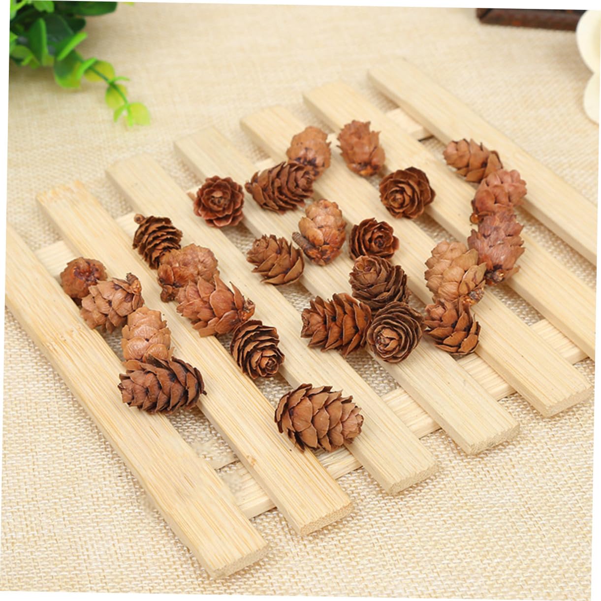 210 Piezas Mini Piñas Naturales para Decoración Navideña y Hogar Rústico Adornos Secos para Manualidades y Otoñal