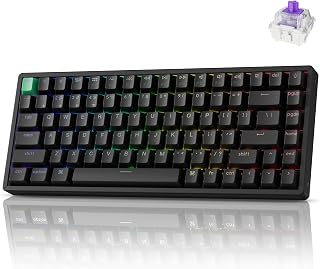 Keychron K2 HE 75% Wireless Magnetic Gaming Keyboard with Adjustable Actuation