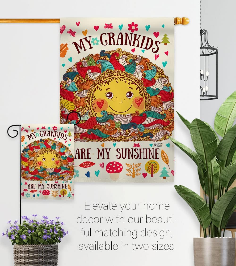 H137148-BO Grandkids are My Sunshine Special Occasion Family Decorative Vertical, House Flag 28"x 40", Multi-Color