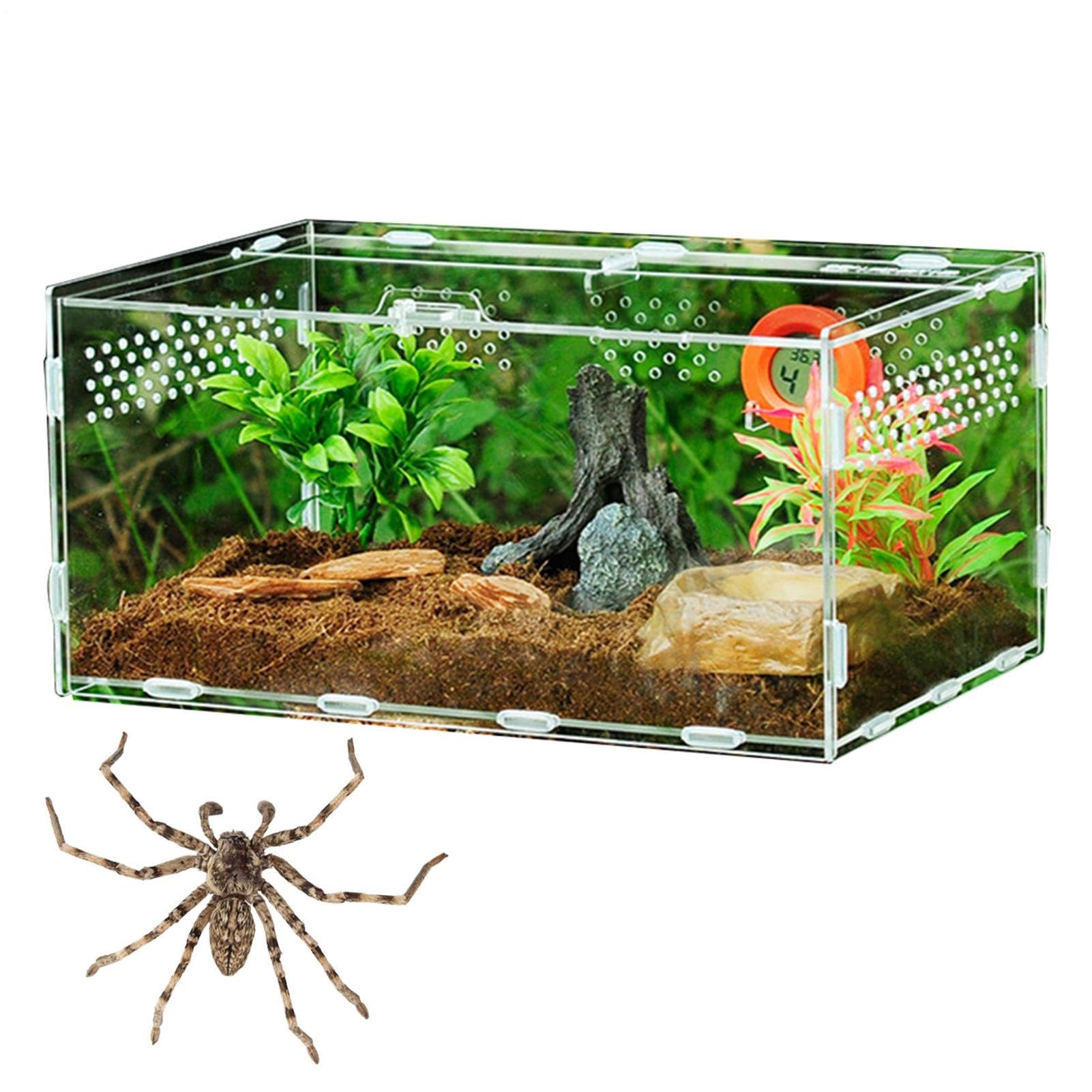 Transparente Acryl Terrarium Reptil Fütterungsbox Reptilienzuchtbox Transportboxen Futterbehälter Box Für Spide Skorpion Käfer Gottesanbeterin Reptilien Lebensraum