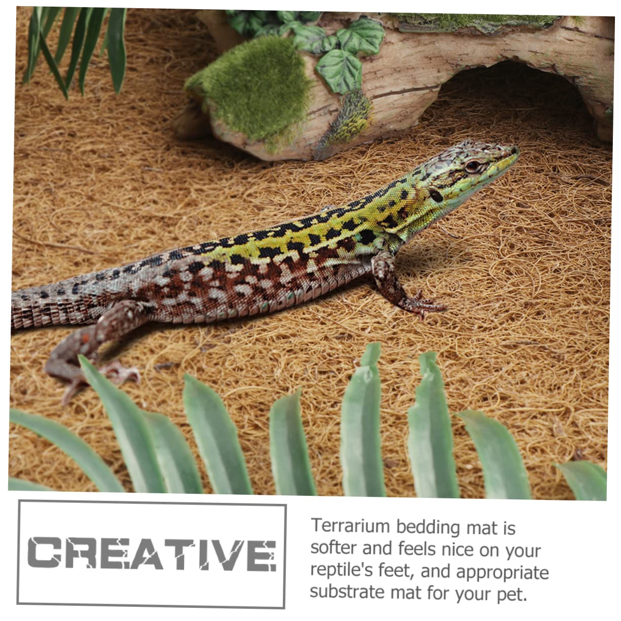 POPETPOP Alfombra en Contenedores Transparentes para Terrario de Reptiles de Fibra Natural Estera para Tortugas y Reptiles y Fácil Limpieza Recogida de Desechos