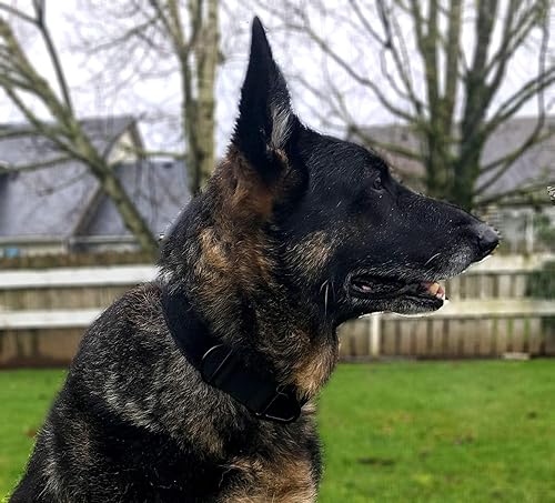 Miniatura 8 de Miles Tactical Collar de perro con hebilla Cobra resistente para perros grandes K9 y militares, fabricado en Estados Unidos (mediano con asa, rosa)