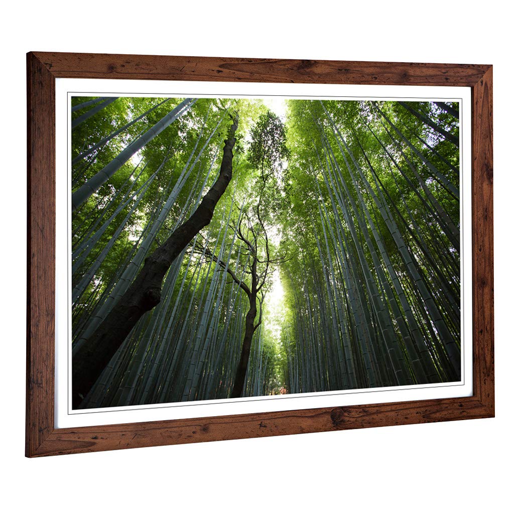Big Box Art Framed Print of Landscape Sunlight Through Forest Woodland (1) Design | Wall Art Picture| Home Decor for Kitchen, Living Room, Bedroom, Hallway, Walnut, A2 / 24.5x18 Inch / 62x45cm