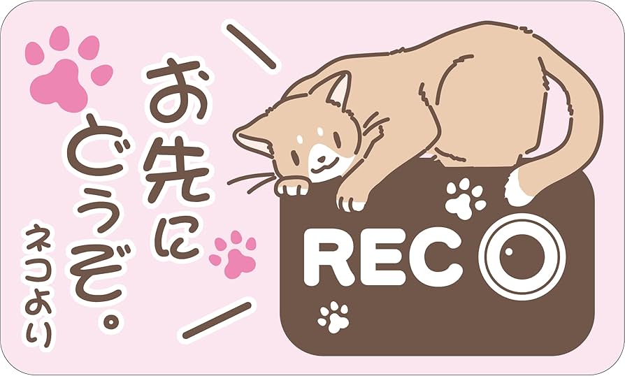 Amazon | ドラレコ録画中ステッカー ドライブレコーダー 録画中