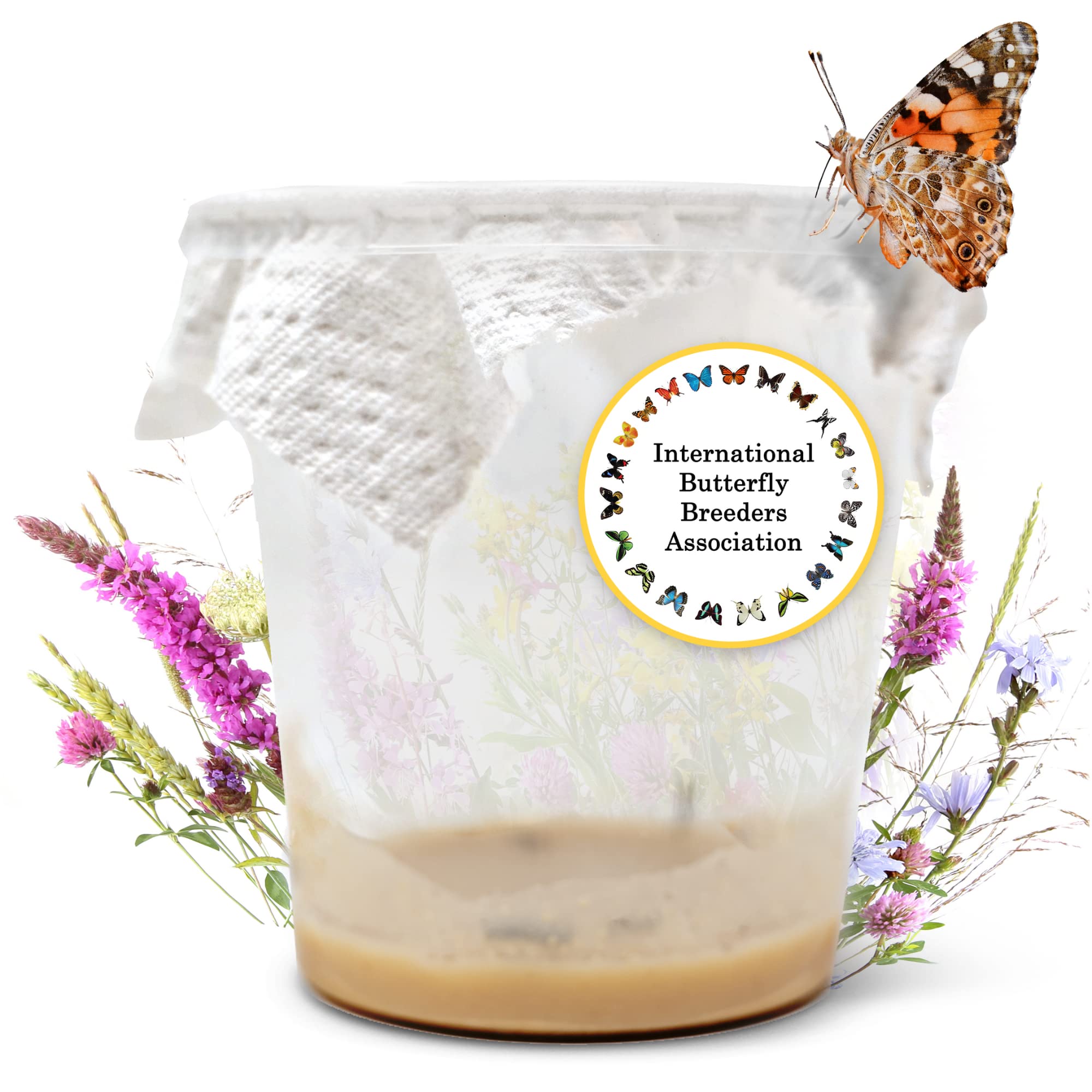 LEPITERRA® Caterpillar Cup - Caterpillar Refill Set - 7 Cups | Ideal Addition to Butterfly Habitat | Breeding Butterflies [Success Guarantee]