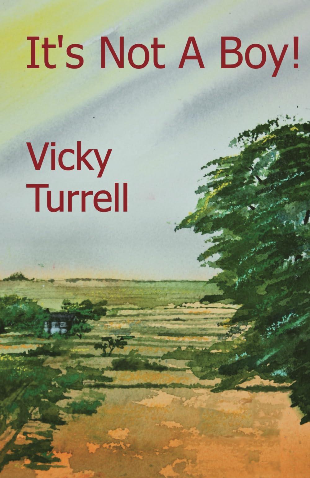 It's Not A Boy!-Vicky Turrell