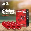 Vector X High Bounce Heavy Weight Tennis Ball for Cricket Practice, Street Match Ball, Training Exercise Ball for Outdoor & Indoor, Beginners & Pet Dog Play Ball (Pack of 12) Red gallery image