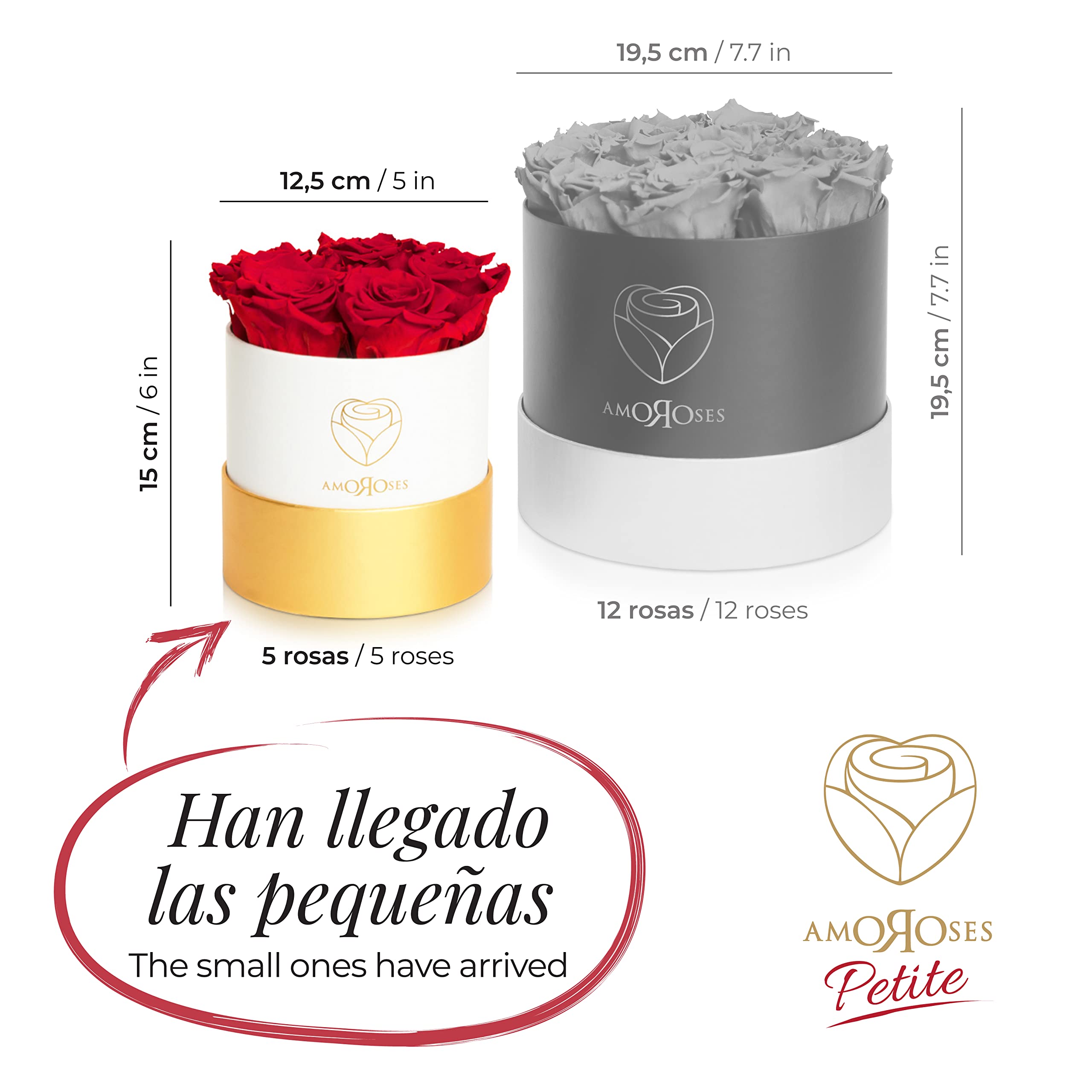 Amoroses Petite - Caja de Regalo 5 Rosas Eternas Estabilizadas - Elegante Ramo de Flores Reales | Idea de regalo (Petite Caja Blanca con Rosas Rojas)