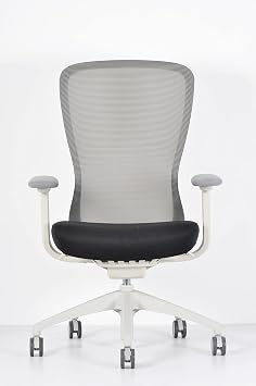 Ergohuman Exchange -White Frame