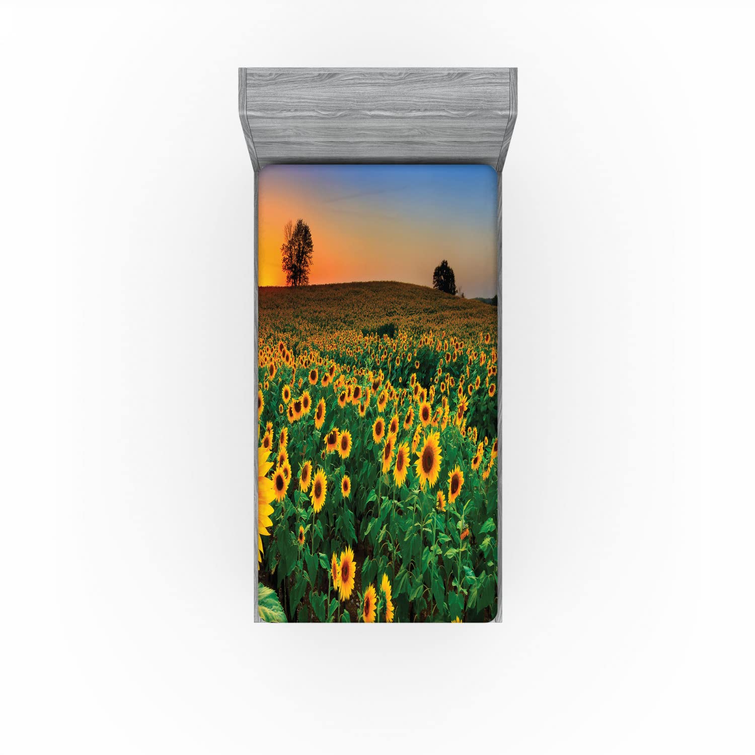 Ambesonne Sunflower 2 Pack Fitted Sheet, Flower Field at Sunset, Bed Cover All-Round Elastic Deep Pockets 2 Pieces, Package Contains 2 Twin XL Size Fitted Sheets, Green Yellow