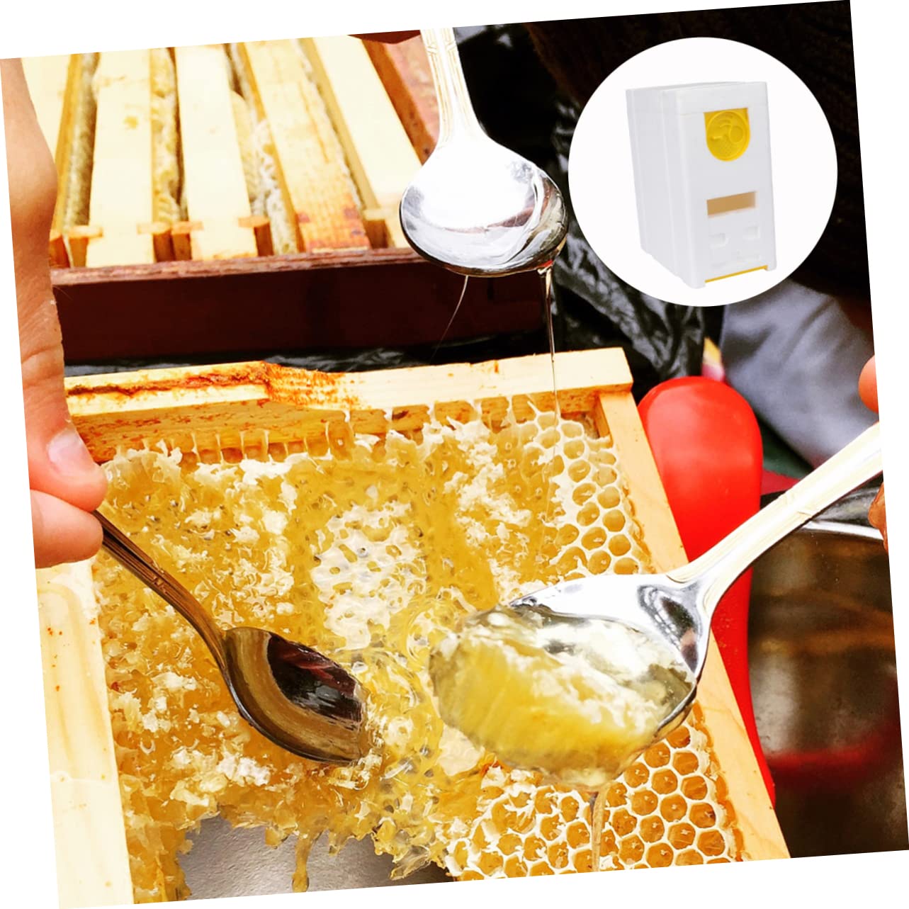 POPETPOP Scatola Per Accoppiamento Delle Doppio Strumento Apicoltura Box Per Versatile e Facile Da Usare Accessorio Pratico Per Apicoltori