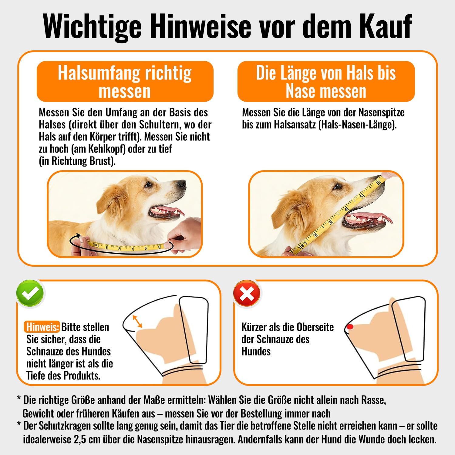 GGW Weiche Halskrause Hund verstellbar atmungsaktiv (Orange, L) | Bequemer Leckchutz-Schutzkragen für Hunde. Ideal für postoperative Pflege oder Hautjucken. Verstellbarer Halsumfang.