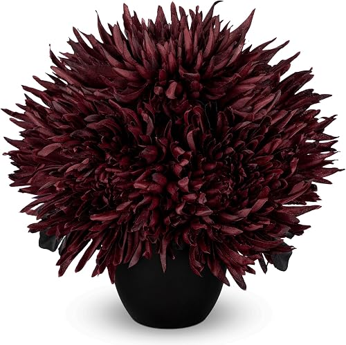 Hollyone Burgundy Artificial Mums for Outdoors Faux Chrysanthemum in Vase Silk Flower Potted Plant Fake Plants & Flowers with Pot Floral Arrangements Bouquets Pincushion Spider Mum Flower Home Decor