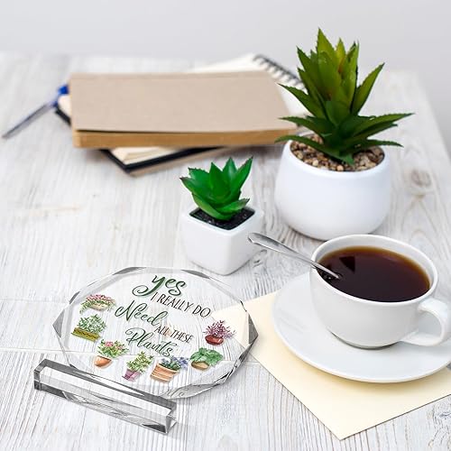 Miniatura 6 de Regalos de plantas para amantes de las plantas, regalos de jardinería para mujeres, regalos para amantes de las plantas, regalos para dama, sí,