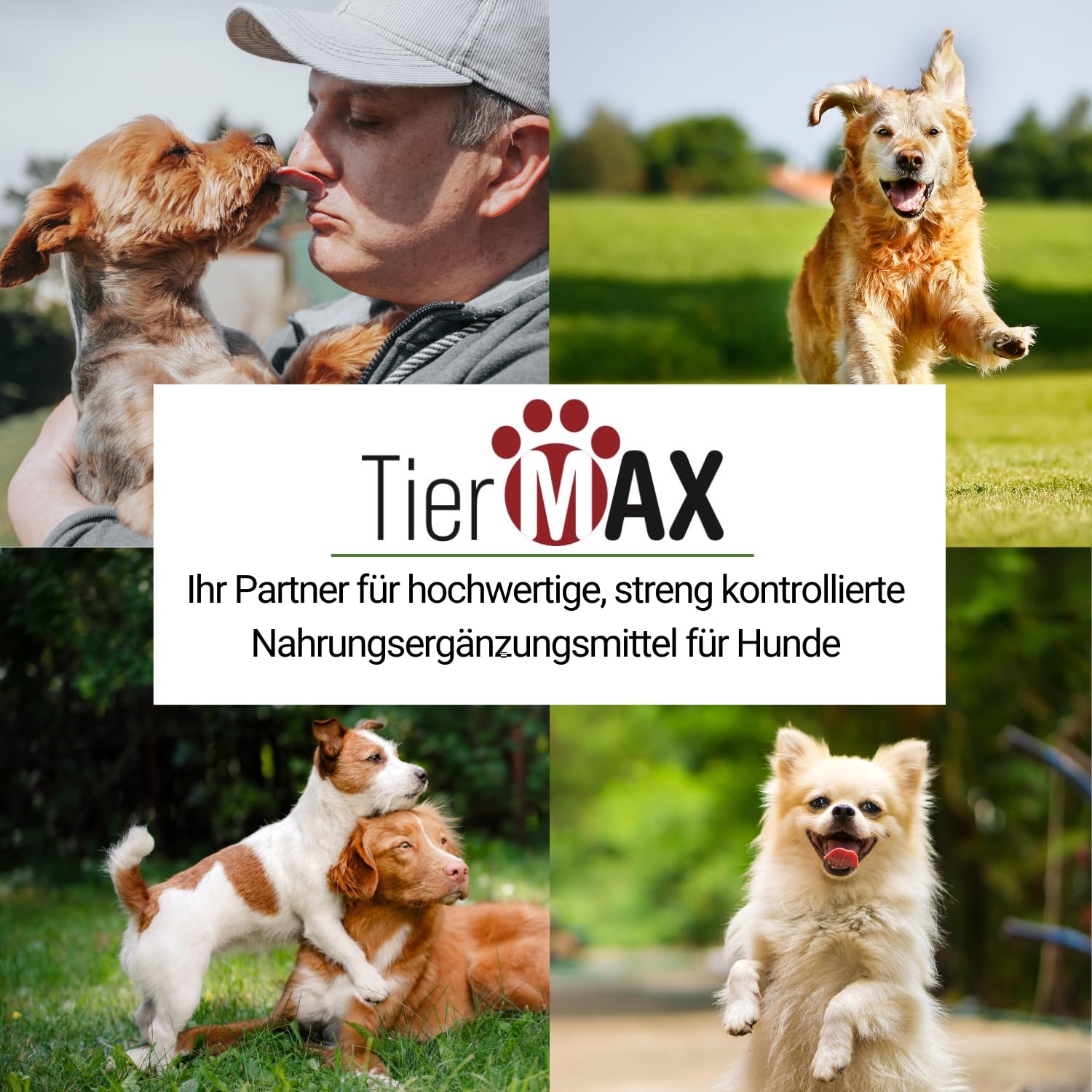 Friandises digestives pré & probiotiques pour chiens - (2 x 30 friandises douces pour chiens) - digestion et flore intestinale - Qualité supérieure et naturelle - Probiotiques pour chiens à