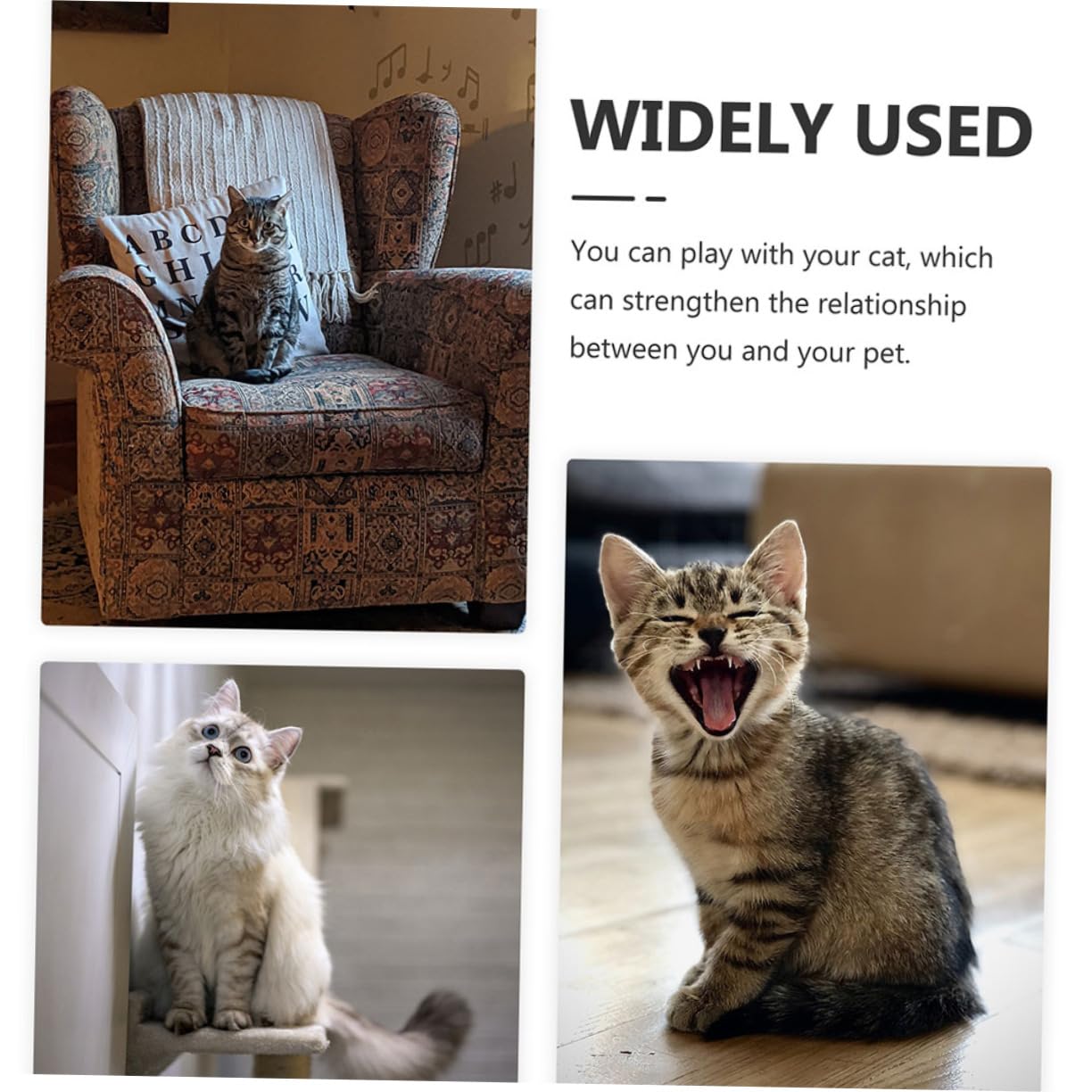 Kisangel 20piezas Bolas Interactivas para Gatos Juguetes De Entrenamiento para Kittens De Cascabeles Estimulantes y Divertidos para Mascotas Casa