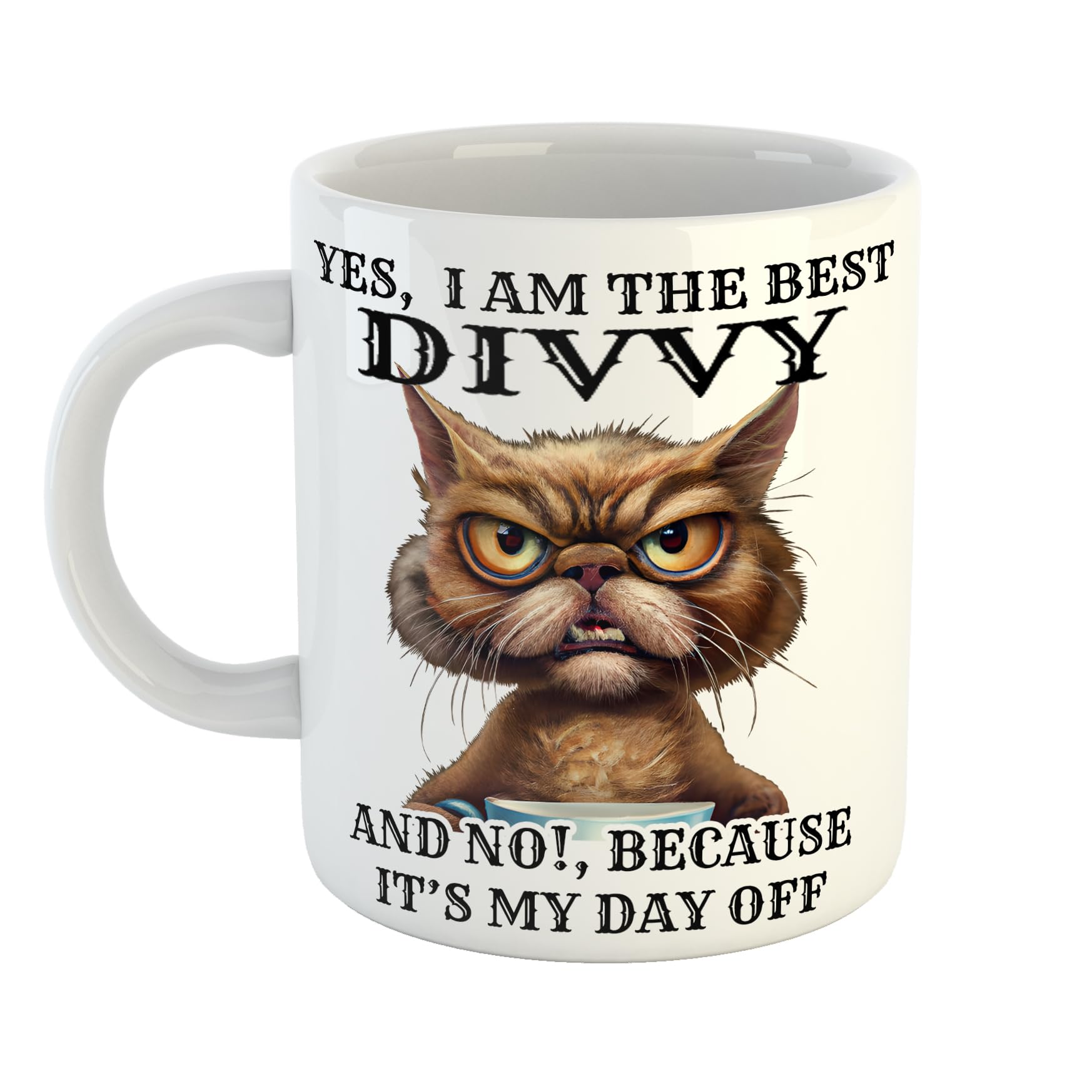 Yes I am The Best Divvy and No Because Its My Day Off Funny Cat Mug
